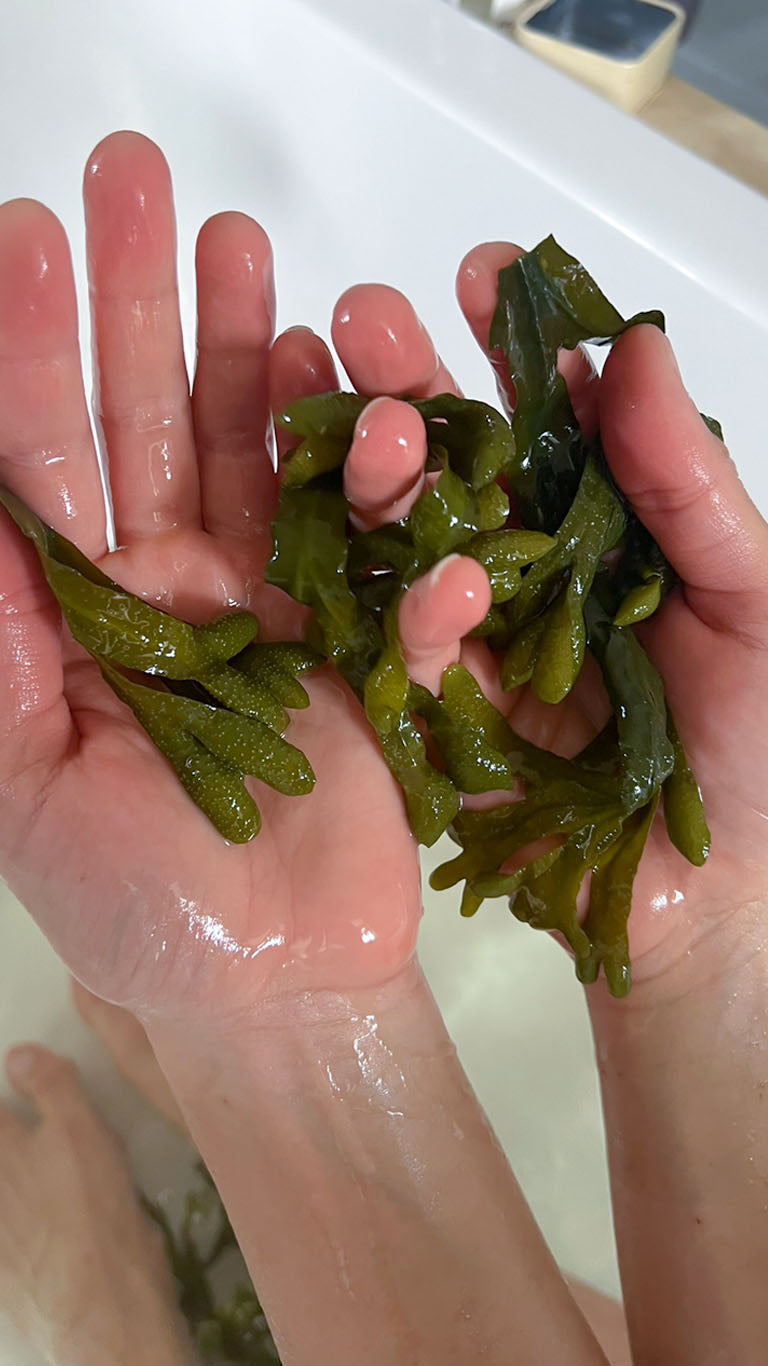 Seaweed Bath