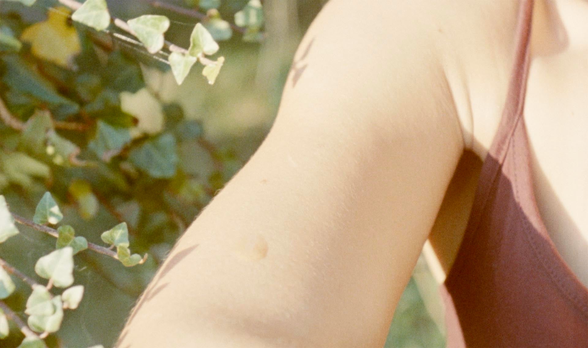 Seaweed and Neroli Body Oil